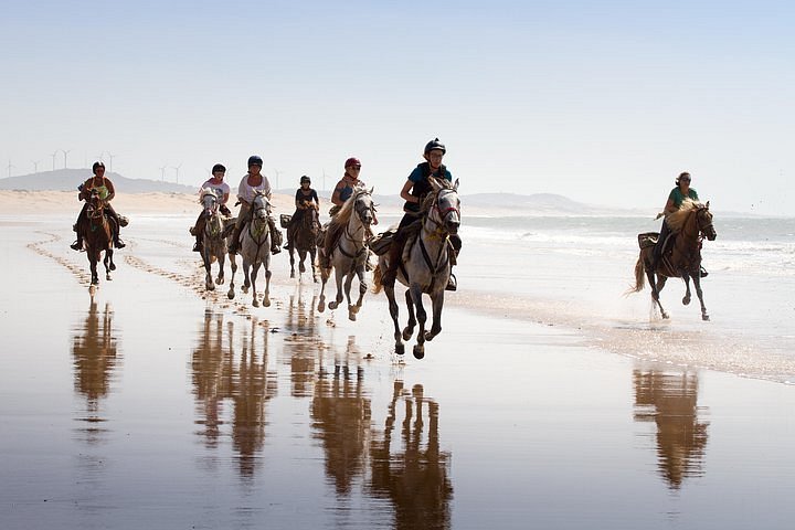 Balade à cheval sur la grande plage de sable au sud d'Essaouira, dunes en arrière-plan